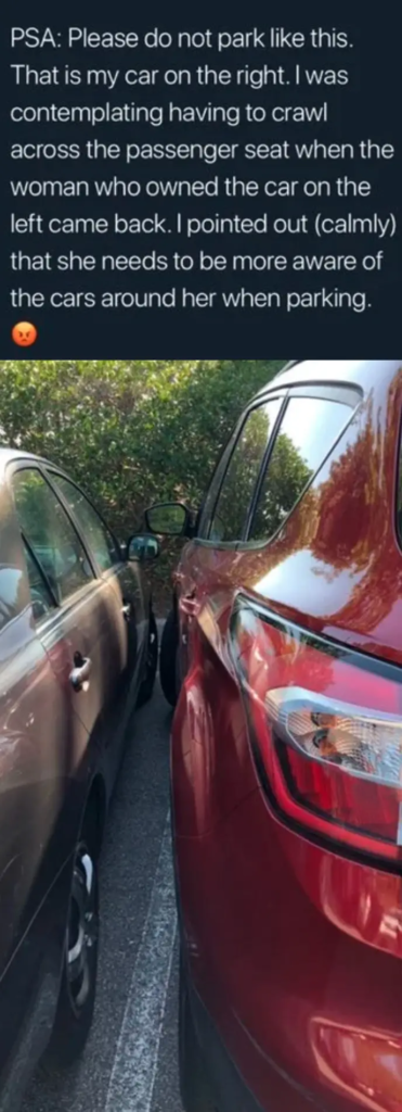 14 Photos Of People Parked Terribly
