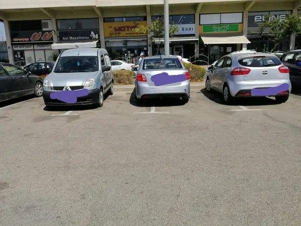 14 Photos Of People Parked Terribly
